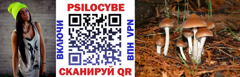 Галлюциногенные грибы Psilocybine cubensis  Купить где  Верхний Тагил 